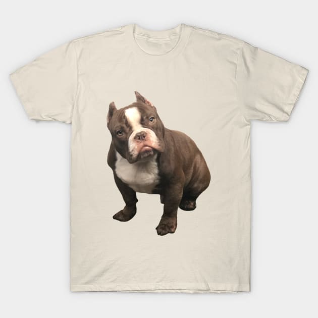 Bully T-Shirt by Oregon Art Shop